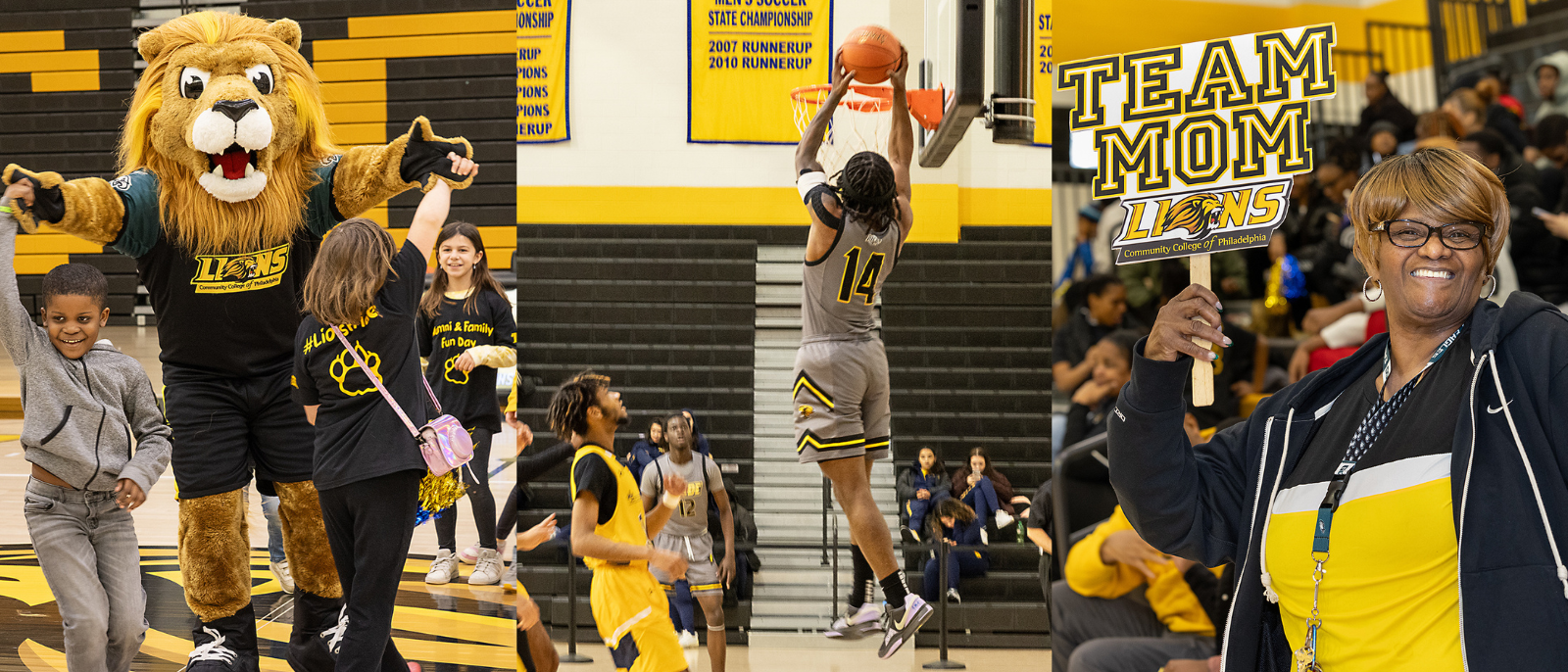 Montage Header image for family fun day